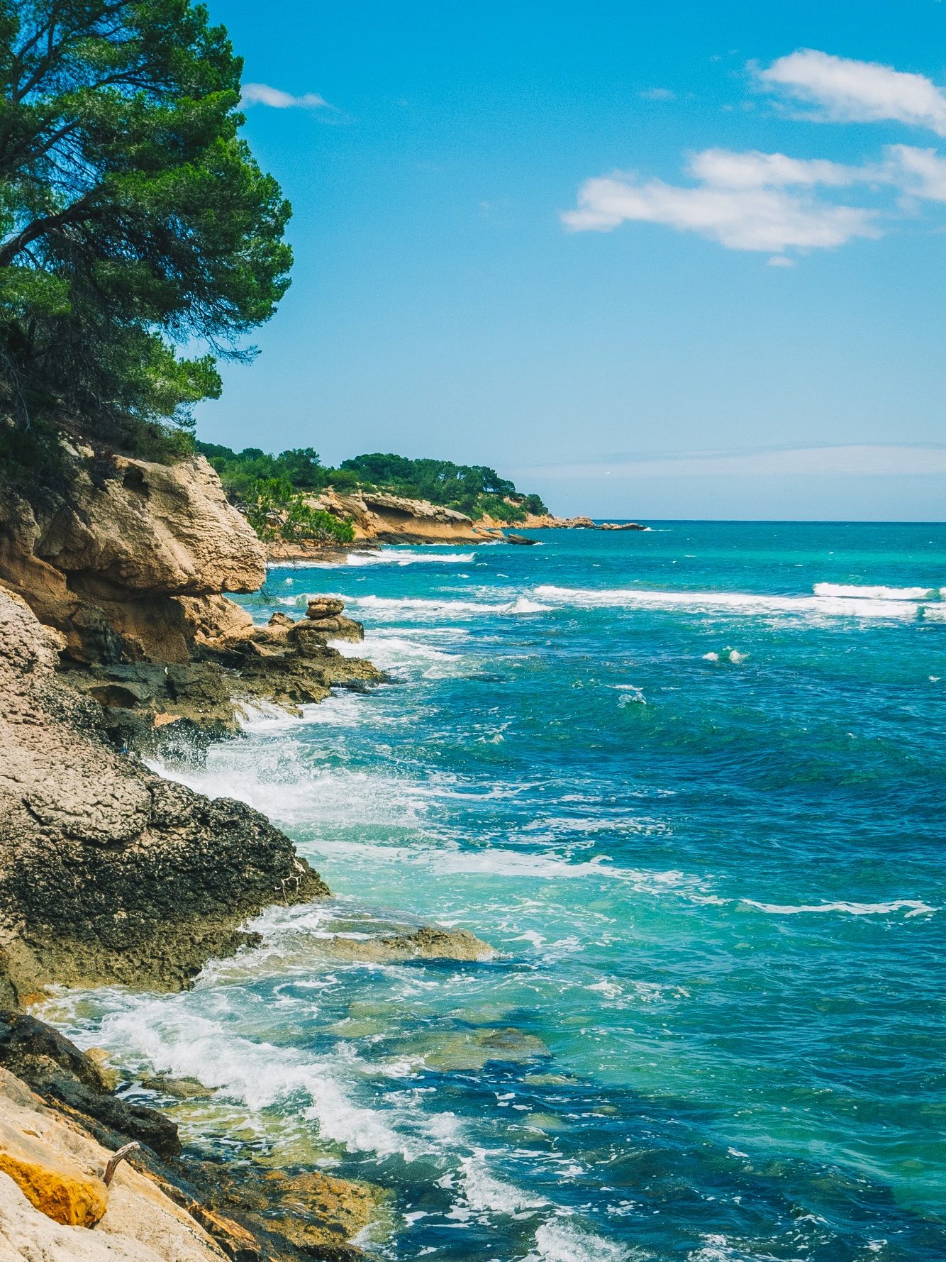 Detalle de la costa de Ametlla de Mar Masia en Ametlla de Mar